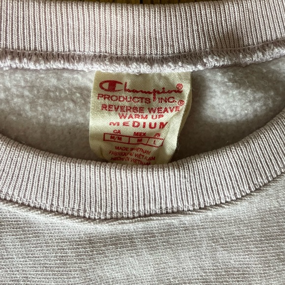 Urban Outfitters Champion Crew Neck Sweatshirt - Picture 4 of 12